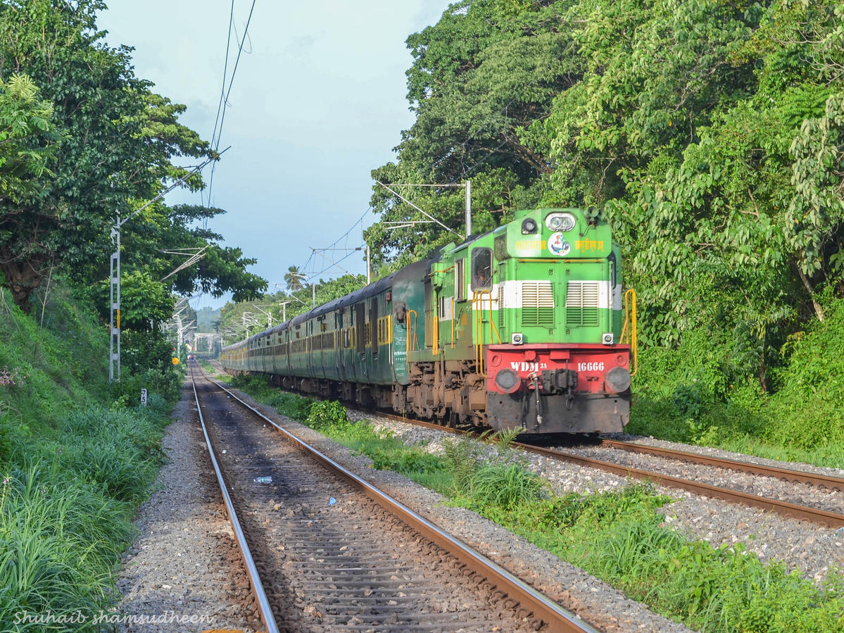 Зеленые железные дороги. Зеленый поезд. Зеленая электричка. Экологические зеленые поезда. Зеленый поезд фото.